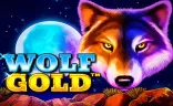 Wolf Gold pokie thumbnail at Spinstralia